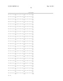 ANTI-ROBO4 ANTIBODIES AND USES THEREFOR diagram and image