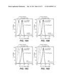 ANTI-ROBO4 ANTIBODIES AND USES THEREFOR diagram and image