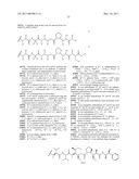 ANTI-ROBO4 ANTIBODIES AND USES THEREFOR diagram and image