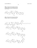 ANTI-ROBO4 ANTIBODIES AND USES THEREFOR diagram and image