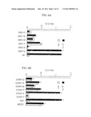 VACCINE diagram and image