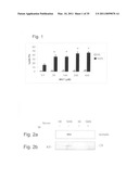 Combination therapy for tumoral desease treatment diagram and image