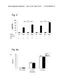 Combination therapy for tumoral desease treatment diagram and image