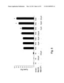 Combination therapy for tumoral desease treatment diagram and image