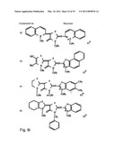 Combination therapy for tumoral desease treatment diagram and image