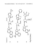 Combination therapy for tumoral desease treatment diagram and image