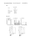 AGLYCOSYLATED IMMUNOGLOBULIN MUTANTS diagram and image