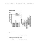 AGLYCOSYLATED IMMUNOGLOBULIN MUTANTS diagram and image