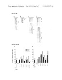 AGLYCOSYLATED IMMUNOGLOBULIN MUTANTS diagram and image