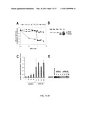 Targeting of Notch3 Receptor Function for Cancer Therapy diagram and image