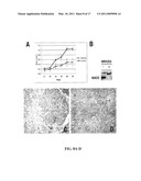 Targeting of Notch3 Receptor Function for Cancer Therapy diagram and image