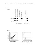 MFAP4 as a Marker For Regulatory Cells and Anti-Cancer Cells diagram and image