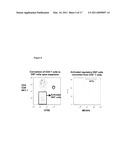 MFAP4 as a Marker For Regulatory Cells and Anti-Cancer Cells diagram and image