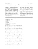 MFAP4 as a Marker For Regulatory Cells and Anti-Cancer Cells diagram and image