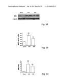 Therapeutic Method Targeting Midkine diagram and image