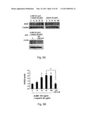 Therapeutic Method Targeting Midkine diagram and image