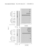 GAB2 AMPLIFICATION IN MELANOMA diagram and image