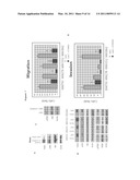 GAB2 AMPLIFICATION IN MELANOMA diagram and image