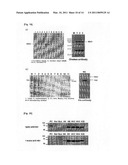 AVIAN INFLUENZA VIRUS VACCINE AND A METHOD FOR PREPARING diagram and image