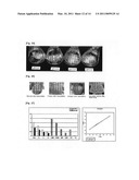 AVIAN INFLUENZA VIRUS VACCINE AND A METHOD FOR PREPARING diagram and image