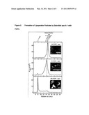 NANOSCALE BOUND BILAYERS, METHODS OF USE AND PRODUCTION diagram and image