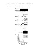 NANOSCALE BOUND BILAYERS, METHODS OF USE AND PRODUCTION diagram and image