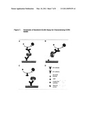 NANOSCALE BOUND BILAYERS, METHODS OF USE AND PRODUCTION diagram and image