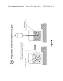 TANNIN-CHITOSAN COMPOSITES diagram and image