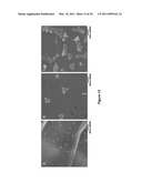 TANNIN-CHITOSAN COMPOSITES diagram and image