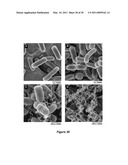 TANNIN-CHITOSAN COMPOSITES diagram and image