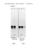 LYOPHILISED ANTIGEN COMPOSITION diagram and image