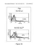 CANCER STEM CELL-TARGETED AND DRUG RESISTANT CANCER THERAPY diagram and image