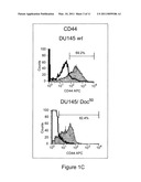 CANCER STEM CELL-TARGETED AND DRUG RESISTANT CANCER THERAPY diagram and image