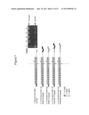 PEPTIDE DICER SUBSTRATE AGENTS AND METHODS FOR THEIR SPECIFIC INHIBITION OF GENE EXPRESSION diagram and image