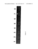 METHOD FOR THE DETECTION OF GENE TRANSCRIPTS IN BLOOD AND USES THEREOF diagram and image