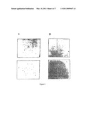 METHOD FOR THE DETECTION OF GENE TRANSCRIPTS IN BLOOD AND USES THEREOF diagram and image