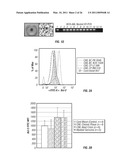 COMPOSITIONS AND METHODS FOR DETERMINING CANCER STEM CELL SELF-RENEWAL POTENTIAL diagram and image