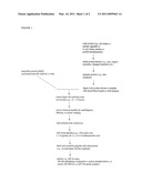 Serine and Threonine Phosphorylation Sites diagram and image