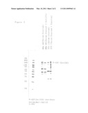Serine and Threonine Phosphorylation Sites diagram and image