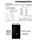 Plasmids from Thermophilic Organisms, Vectors Derived Therefrom, and Uses Thereof diagram and image