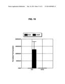 Plasmids from Thermophilic Organisms, Vectors Derived Therefrom, and Uses Thereof diagram and image