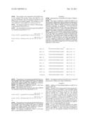 Plasmids from Thermophilic Organisms, Vectors Derived Therefrom, and Uses Thereof diagram and image