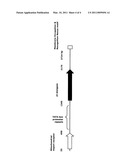 D4 DESATURASES AND D5 ELONGASES diagram and image