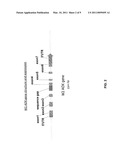 MANIPULATION OF AN ALTERNATIVE RESPIRATORY PATHWAY IN PHOTO-AUTOTROPHS diagram and image