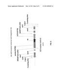 MANIPULATION OF AN ALTERNATIVE RESPIRATORY PATHWAY IN PHOTO-AUTOTROPHS diagram and image