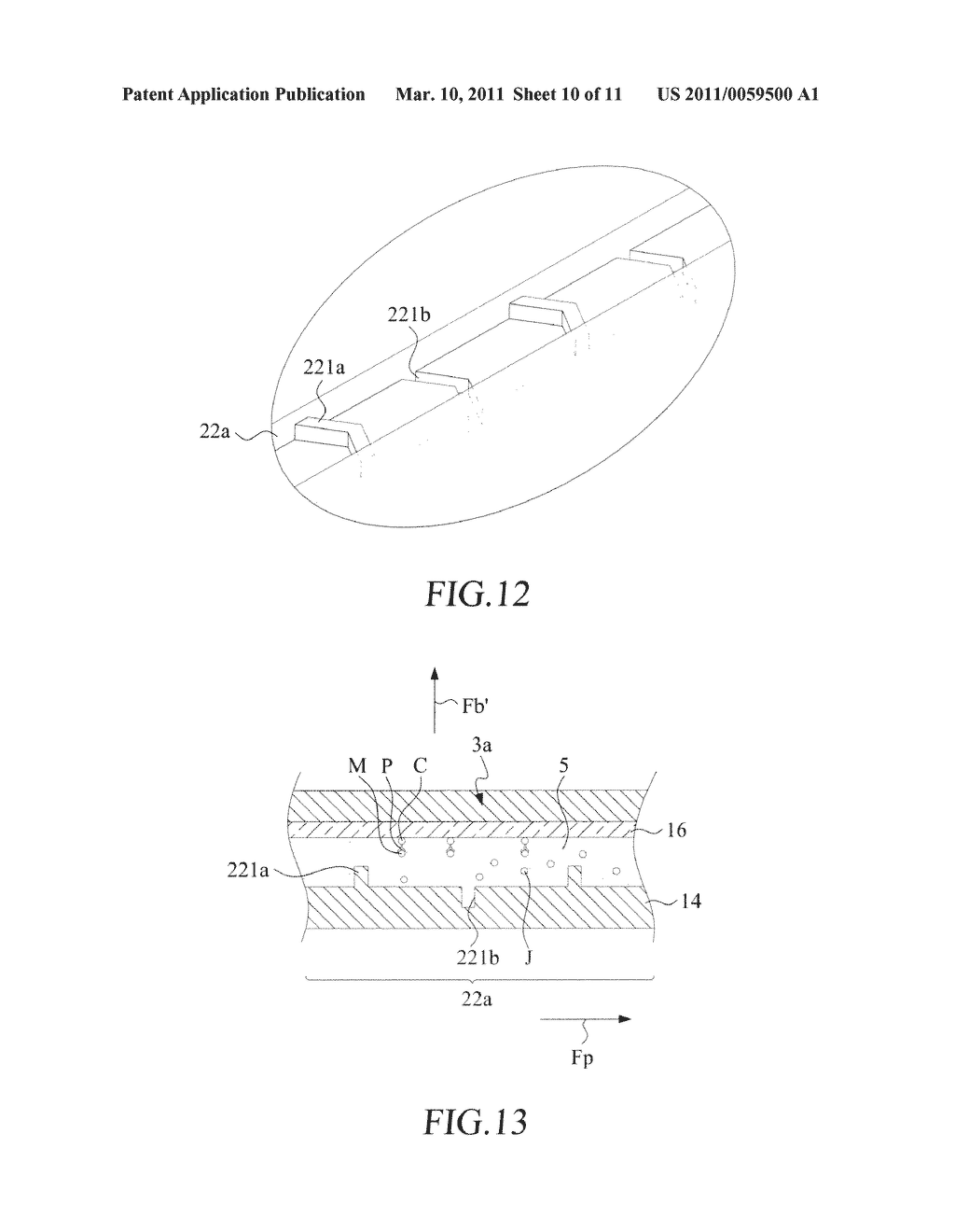 METHOD FOR SEPARATING IMMUNOMAGNETIC BEAD LABELED PARTICULATES - diagram, schematic, and image 11