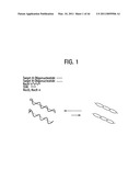 Recombinase polymerase amplification diagram and image