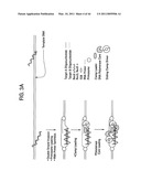 Recombinase polymerase amplification diagram and image