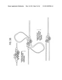 Recombinase polymerase amplification diagram and image