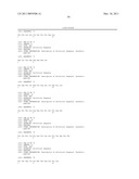 Recombinase polymerase amplification diagram and image